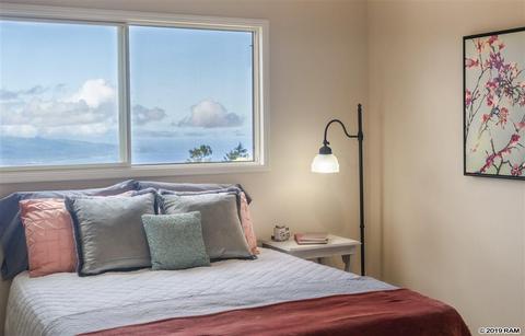 185 Ainakula Rd, Kula, HI 96790 photo 17