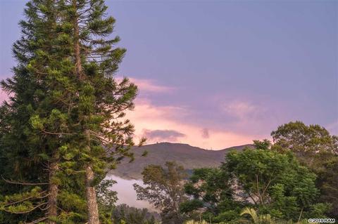 185 Ainakula Rd, Kula, HI 96790 photo 15