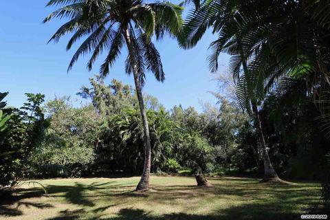 475 Kulike Rd #2, Haiku, HI 96708 photo 4