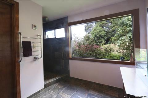 294 Hapapa Rd, Kula, HI 96790 photo 11