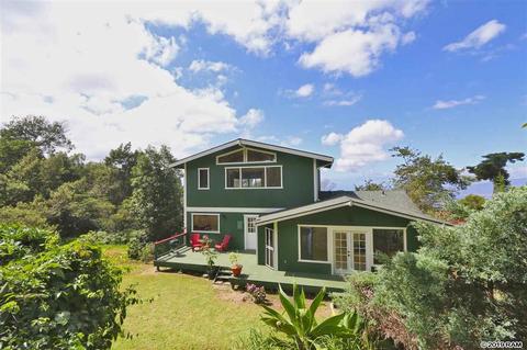 294 Hapapa Rd, Kula, HI 96790 photo 24