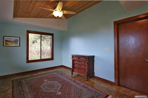 294 Hapapa Rd, Kula, HI 96790 photo 13