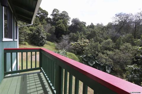 294 Hapapa Rd, Kula, HI 96790 photo 19