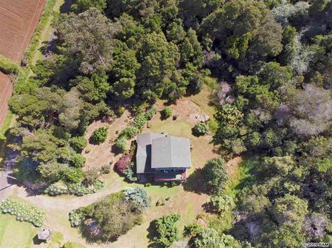 294 Hapapa Rd, Kula, HI 96790 photo 3
