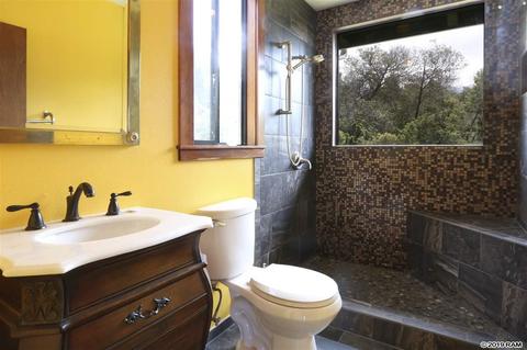 294 Hapapa Rd, Kula, HI 96790 photo 22