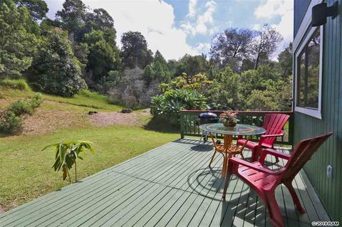 294 Hapapa Rd, Kula, HI 96790 photo 23