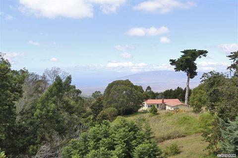 294 Hapapa Rd, Kula, HI 96790 photo 20