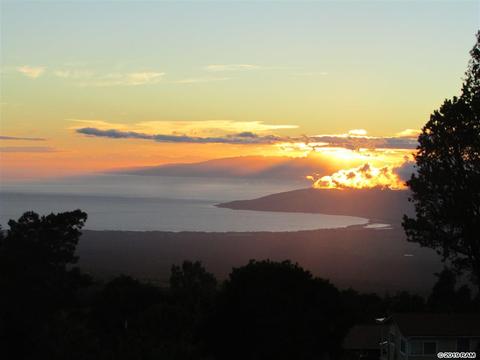 294 Hapapa Rd, Kula, HI 96790 photo 1