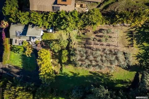 3515 Lower Kula Rd, Kula, HI 96790 photo 23