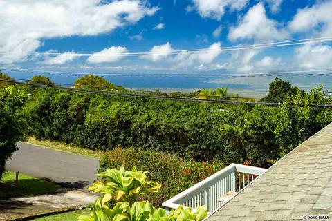 3515 Lower Kula Rd, Kula, HI 96790 photo 28