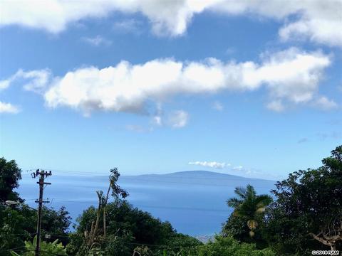 17 Hookano Pl #B, Kula, HI 96790 photo 5