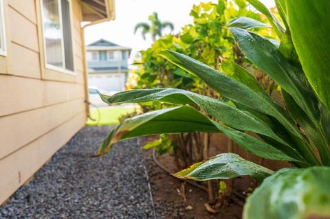 166 Molehulehu Loop, Kahului, HI 96732 photo 21