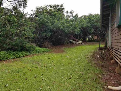2165 Kokomo Rd, Haiku, HI 96708 photo 9