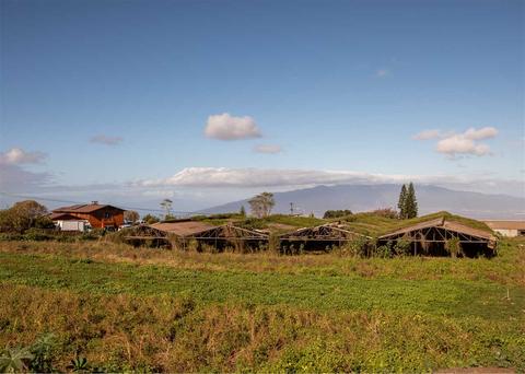 586 Naalae Rd, Kula, HI 96790 photo 3