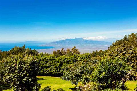 745 Alae Rd, Kula, HI 96790 photo 3