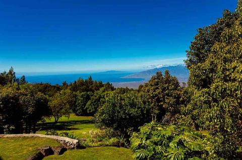 745 Alae Rd, Kula, HI 96790 photo 29
