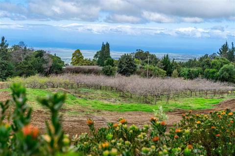 600 Alae Rd, Kula, HI 96790 photo 27