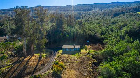 600 Alae Rd, Kula, HI 96790 photo 3