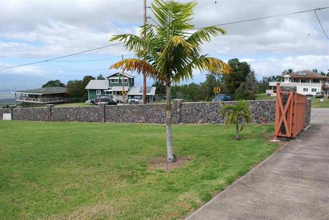 121 Puuala St, Kula, HI 96790 photo 3