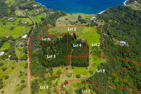 277 Mehana Rd, Haiku, HI 96708 photo 2