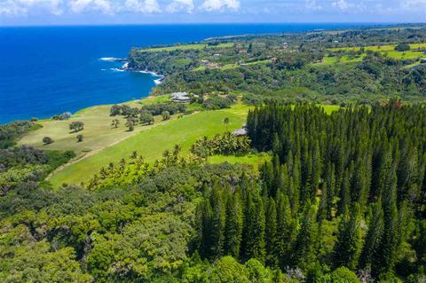 277 Mehana Rd, Haiku, HI 96708 photo 29