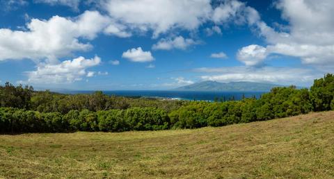 138 Keoawa St, Lahaina, HI 96761 photo 14