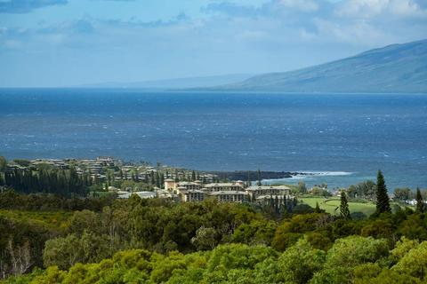 138 Keoawa St, Lahaina, HI 96761 photo 5