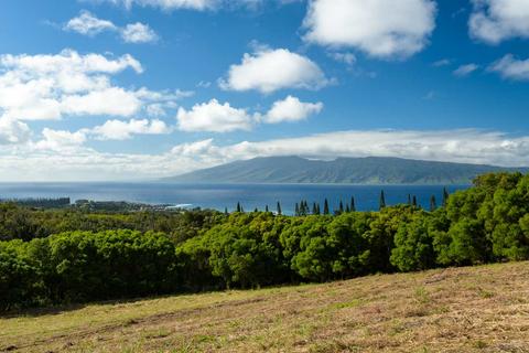 138 Keoawa St, Lahaina, HI 96761 photo 11
