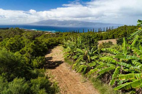 138 Keoawa St, Lahaina, HI 96761 photo 4