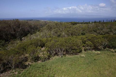 138 Keoawa St, Lahaina, HI 96761 photo 29
