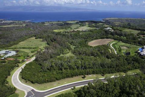 138 Keoawa St, Lahaina, HI 96761 photo 22