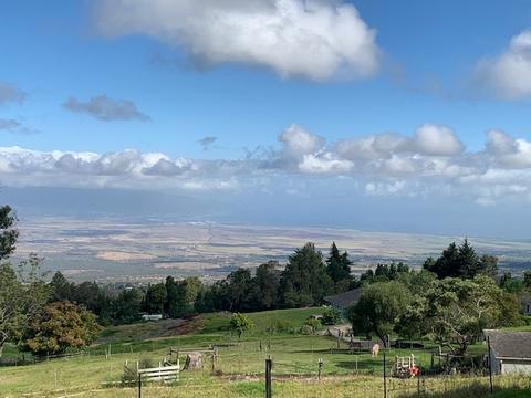83 Ululani St, Kula, HI 96790 photo 23