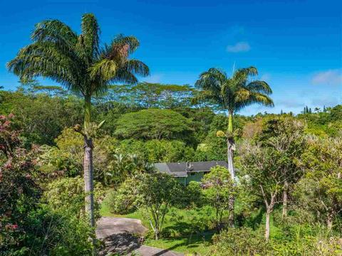 740 E Kuiaha Rd, Haiku, HI 96708 photo 21