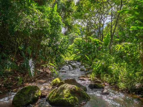 740 E Kuiaha Rd, Haiku, HI 96708 photo 13