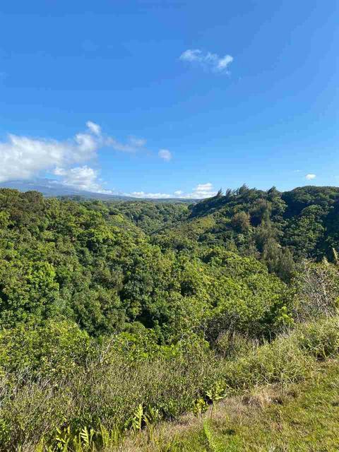 342 Kulike Rd, Haiku, HI 96708 photo 18