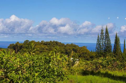 810 Upper Ulumalu Rd, Haiku, HI 96708 photo 22