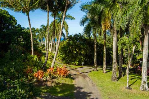 85 E Waipio Rd, Haiku, HI 96708 photo 16