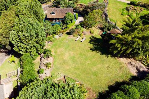 890 Upper Kimo Dr, Kula, HI 96790 photo 28