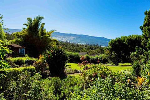 890 Upper Kimo Dr, Kula, HI 96790 photo 3