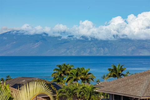 20 Ginger Pl, Lahaina, HI 96761 photo 4