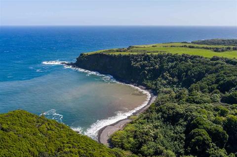 595 Kulike Rd, Haiku, HI 96708 photo 24