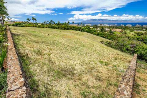 4 Anapuni Loop, Lahaina, HI 96761 photo 13