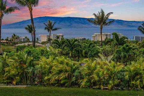 4 Anapuni Loop, Lahaina, HI 96761 photo 2