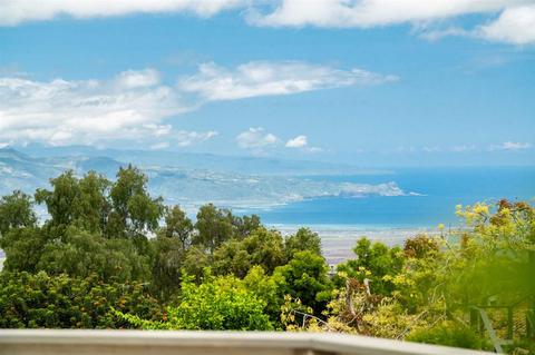 368 Ainakula Rd, Kula, HI 96790 photo 30