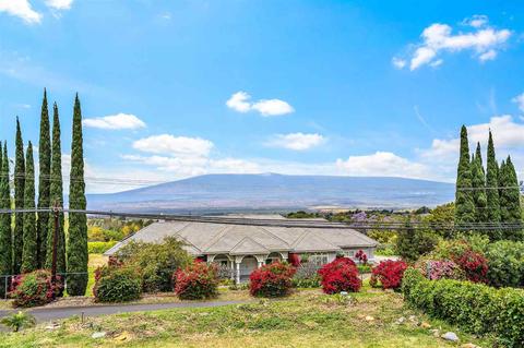 3655 Lower Kula Rd, Kula, HI 96790 photo 3