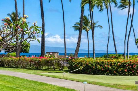 3543 Lower Honoapiilani Rd #E110, Lahaina, HI 96761 photo 20