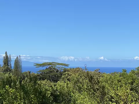 480 E Kuiaha Rd, Haiku, HI 96708