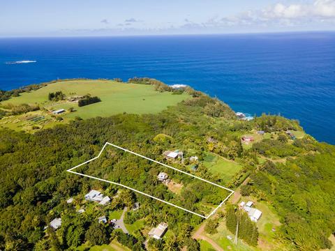 633 Kulike Rd, Haiku, HI 96708 photo 5