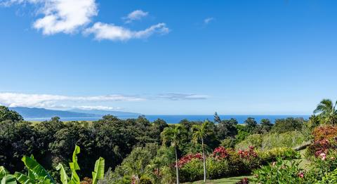 207 Uakoko Pl, Haiku, HI 96708 photo 1