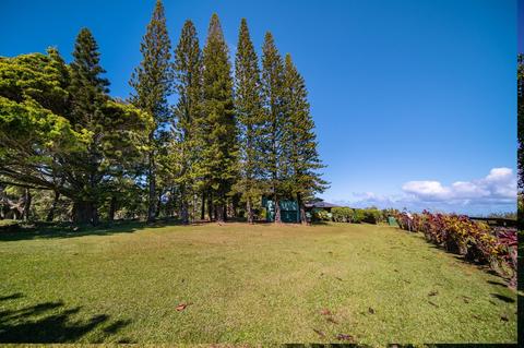 449 Kawelo Rd, Haiku, HI 96708 photo 30